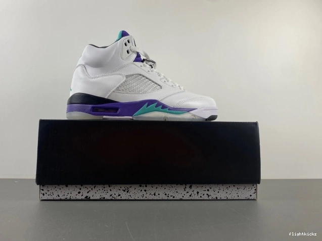 (2013) Jordan Retro 136027-108 Air Grape 5 0916
